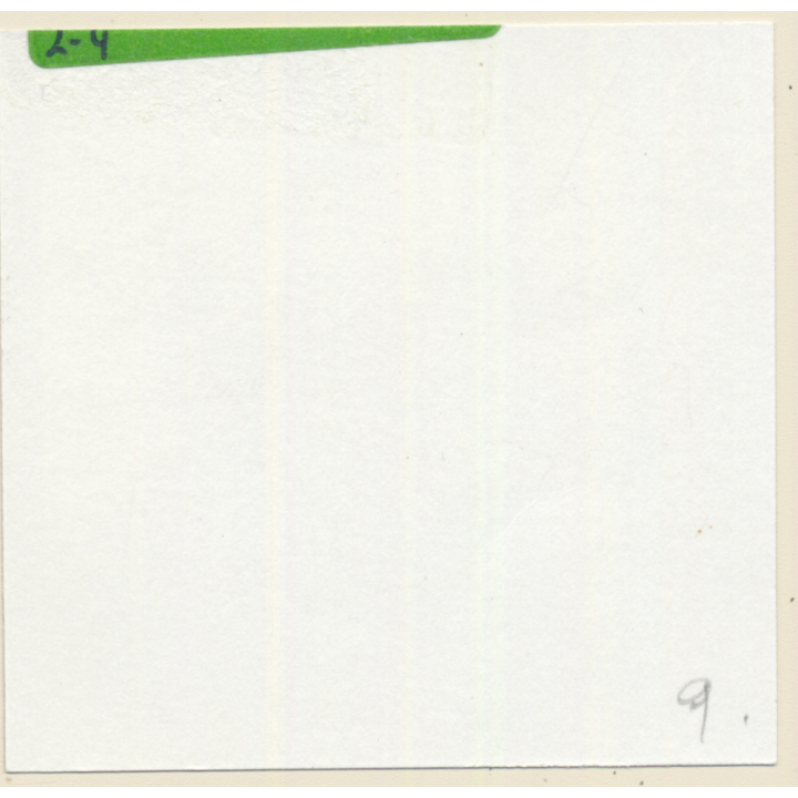 Erotic Study: 3 Semi Nude Maids Im Bondage/Spanking Session*9 (Vintage Contact Print 1970s/1980s)