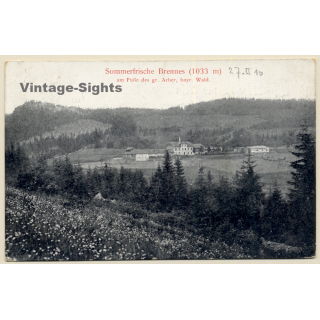 Brennes / Bayerisch Eisenstein: Panorama View (Vintage PC 1910)