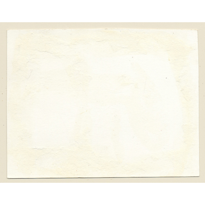 Erotic Study: Natural Slim Blonde Nude In Forest*2 / Sitting (Vintage Photo GDR 1980s)