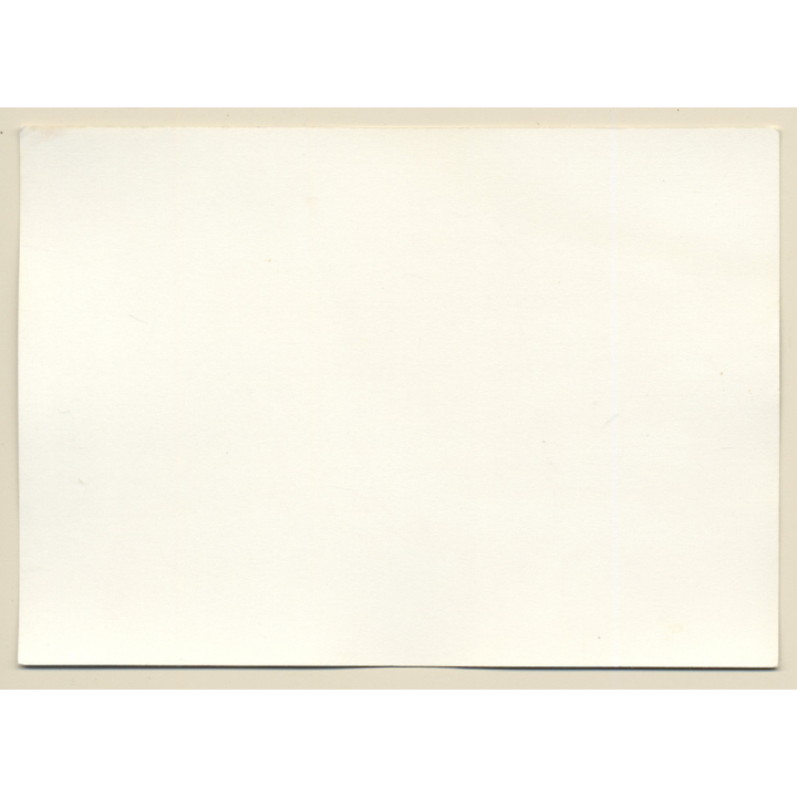 Erotic Study: Natural Blonde Nude Sitting In Tall Grass (Vintage Photo GDR 1980s)