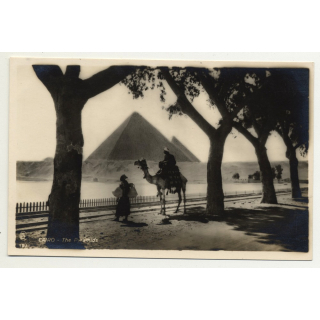 Lehnert & Landrock: Cairo - The Pyramids / Egypt (Vintage RPPC 1920s/1930s)