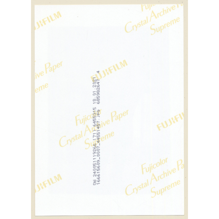 Artistic Erotic Study: Slim Dark-Haired Nude With Overknees / Butt (Digital Photo Print ~2000s)