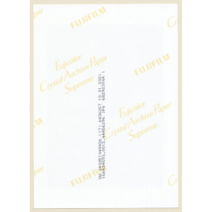 Artistic Erotic Study: Curvy Semi Nude Female On Chair / Butt (Digital Photo Print ~2000s)