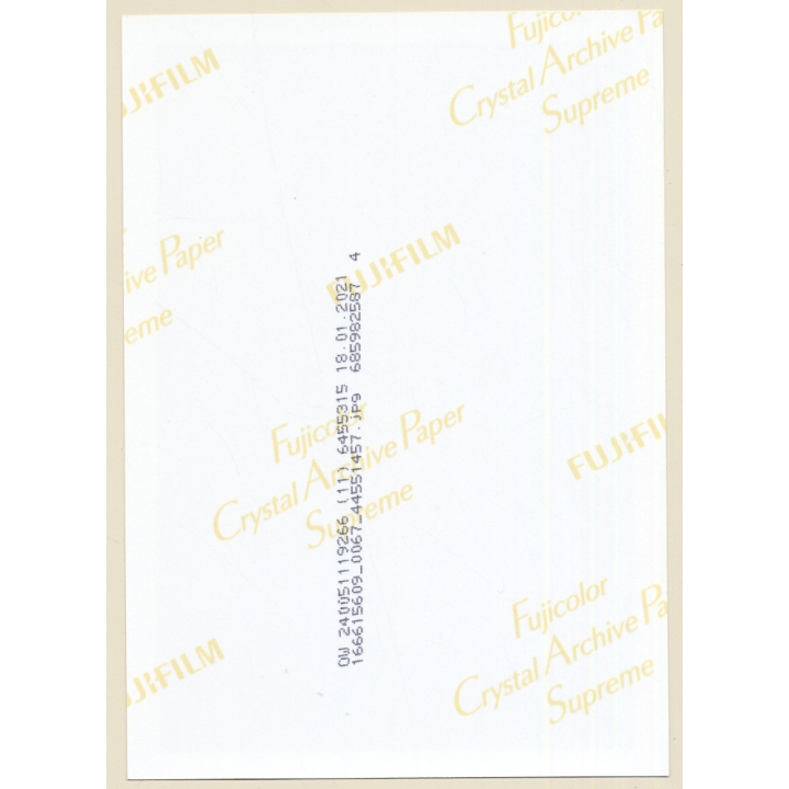 Artistic Erotic Study: Rear View Of Slim Leggy Nude / Overknees (Digital Photo Print ~2000s)