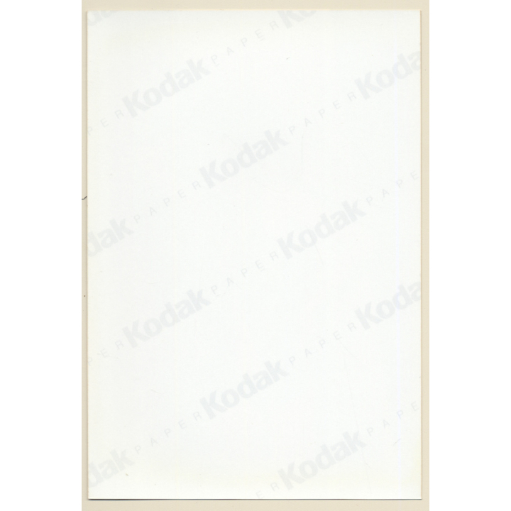 Erotic Study: Sweet Brunette Semi Nude In Transparent Lingerie  (Vintage Photo East Germany 1990s)