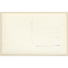 Santos / Brazil: Panorama View  (Vintage RPPC)