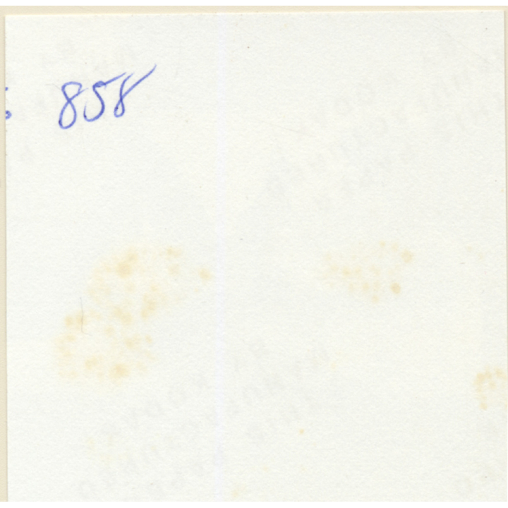 Erotic Study: Slim Curvy Nude On Ratan Beach Chair*6 (Vintage Contact Print 1970s/1980s)