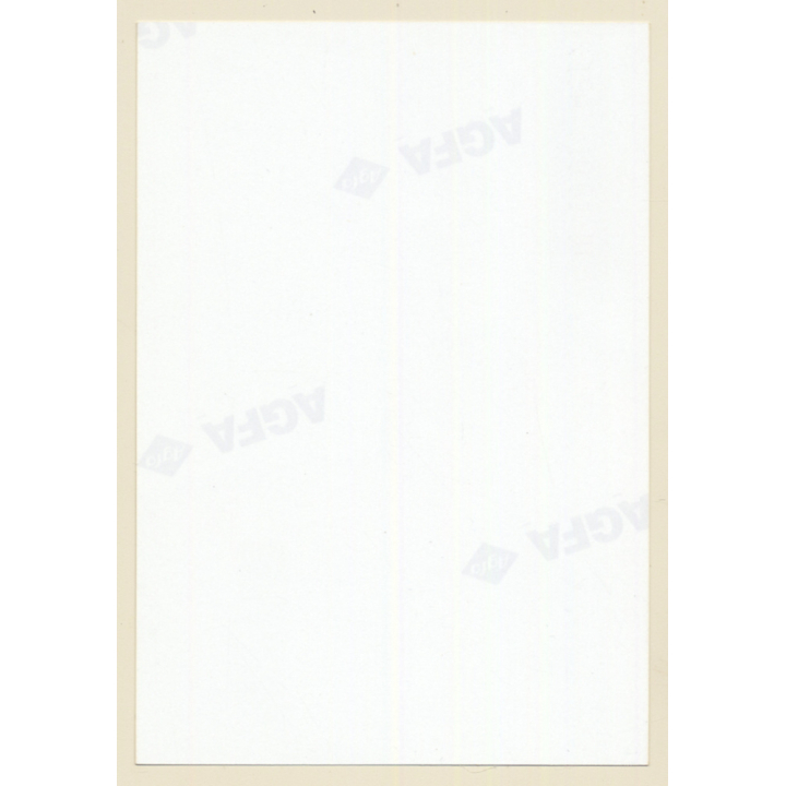 Erotic Study: Natural Sporty Brunette Nude Female*4 (Vintage Photo East Germany 1990s)