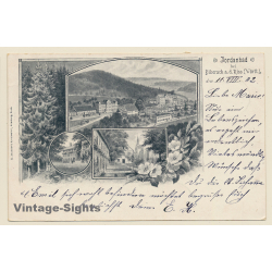 Biberach an der Riß: Jordanbad - Total View (Vintage PC Litho 1902)