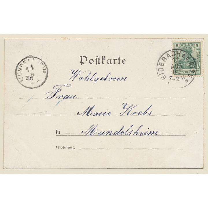 Biberach an der Riß: Jordanbad - Total View (Vintage PC Litho 1902)