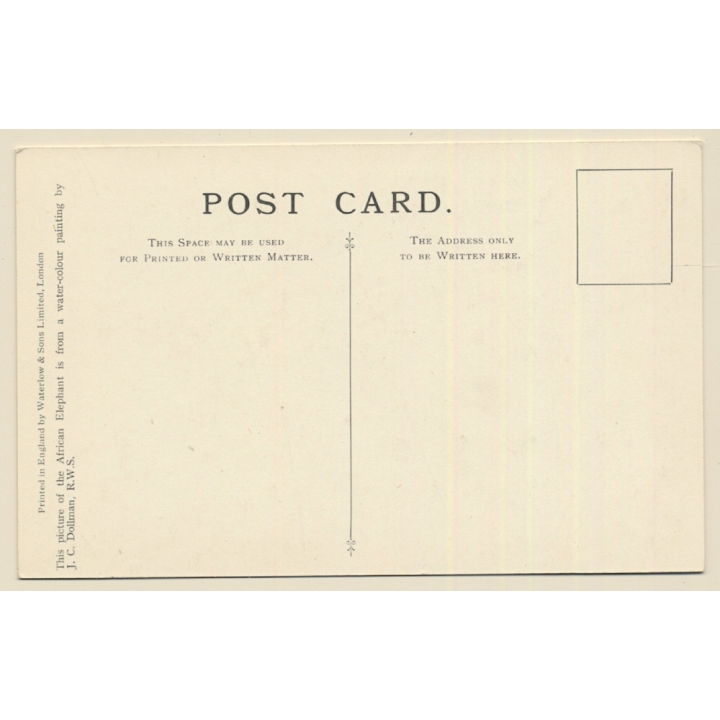 British Museum: African Elephants (Vintage Artist PC 1920s/1930s)