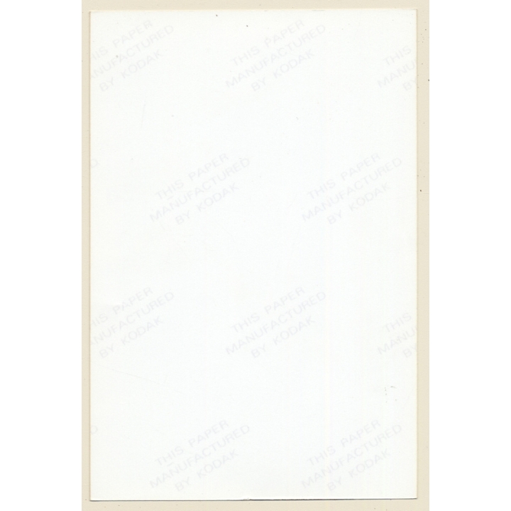 Erotic Study: Rear View Of Black Female Undressing / Tanga - Butt (Vintage Photo France 1980s)