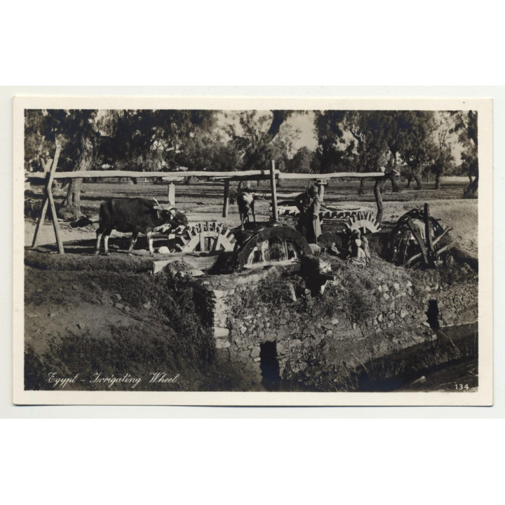 Lehnert & Landrock: Egypt - Irrigating Wheel (Vintage RPPC 1920s/1930s)