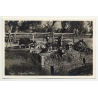 Lehnert & Landrock: Egypt - Irrigating Wheel (Vintage RPPC 1920s/1930s)
