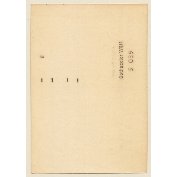 Erotic Study: East German Glamour Girl In Cheeky Fishnet Lingerie (Vintage Photo GDR 1980s)