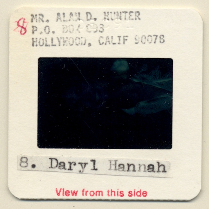 Daryl Hannah / Hollywood Actress (Vintage Press Diapositive ~1980s)