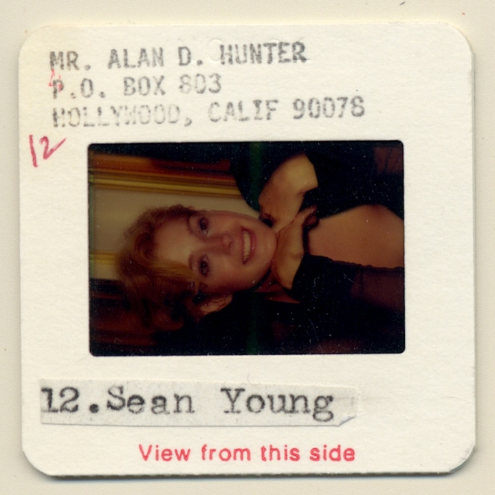 Sean Young / Hollywood Actress (Vintage Press Diapositive ~1990s)