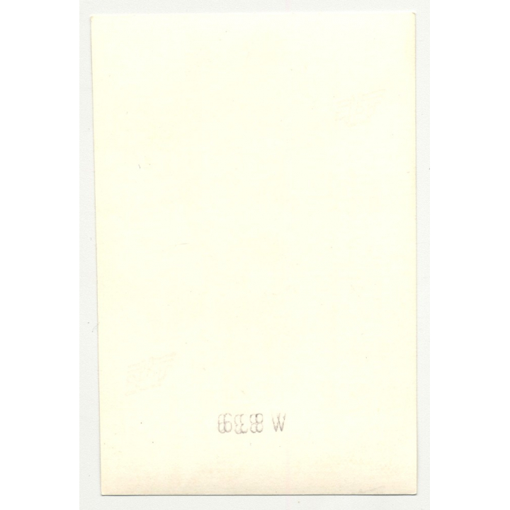 Rear View Of Nude Woman In Bed / Butt - Sheets (Vintage Photo B/W ~1960s)