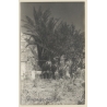 Rab / Croatia: Palm Trees Of The Monastery St. Euphemia (Vintage RPPC 1930s)