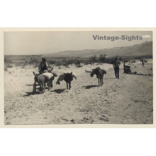 Rab / Croatia: Donkey Caravan (Vintage RPPC 1930s)