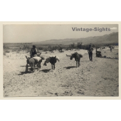 Rab / Croatia: Donkey Caravan (Vintage RPPC 1930s)