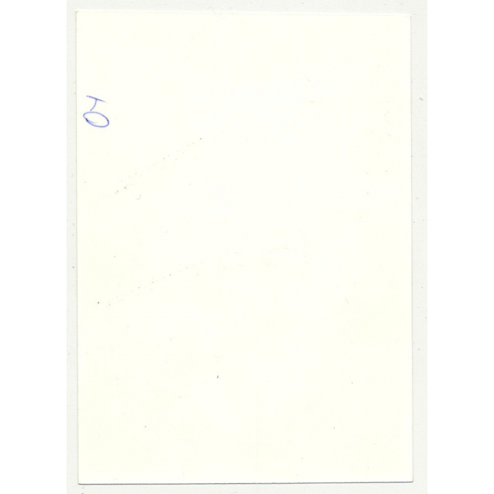 Shorthaired Beauty Climbs On Rocks / Low Neckline - Stockings (Vintage Photo DDR B/W ~1980s)