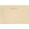 Konstanz / Germany: Panorama (Vintage PC 1900s)