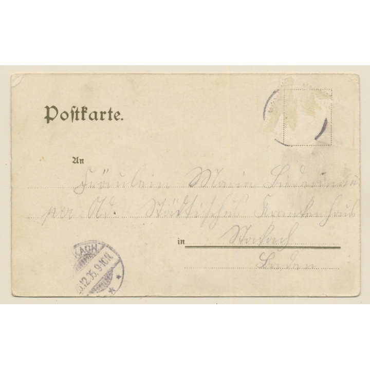 Konstany am Bodensee: Dampfer - Münster - Seeufer (Vintage PC Litho 1905)