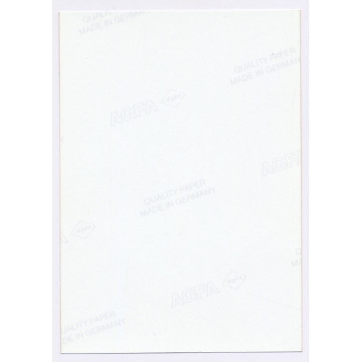 Erotic Study: Tall Dark-Haired Semi Nude In Transparent White Lingerie (Vintage Photo East Germany 1990s)