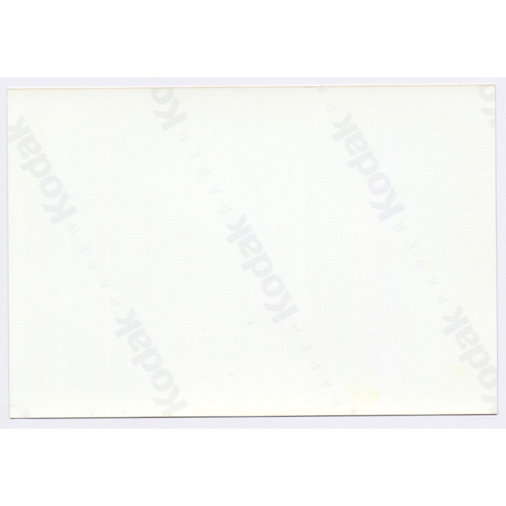 Erotic Study: Tall Dark-Haired Nude On Bed / Rear View - Butt (Vintage Photo East Germany 1990s)