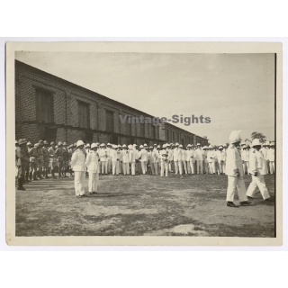 Congo Belge: King Albert I. & Force Publique During Royal Visit (Vintage Photo 1928)