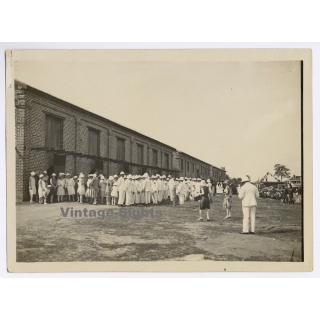 Congo Belge: King Albert I. & Force Publique During Royal Visit*2 (Vintage Photo 1928)