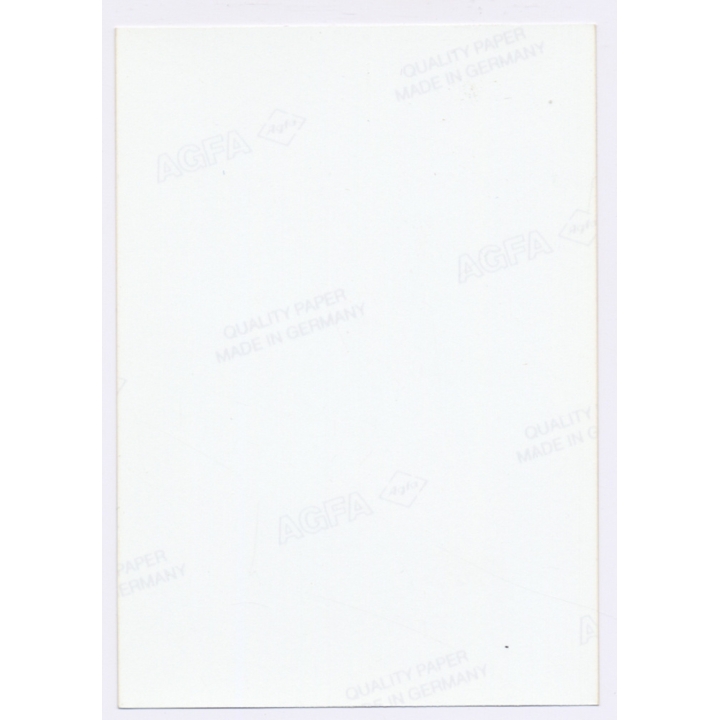 Erotic Study: Tall Dark-Haired Semi Nude In Transparent White Lingerie*4 (Vintage Photo East Germany 1990s)