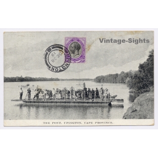 Upington / South Africa: The Pont - Ferry - Natives - Horses (Vintage PC 1919)