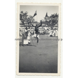 Native Warrior Dances At Tribal Meeting / Congo (Vintage Photo B/W ~1940s)