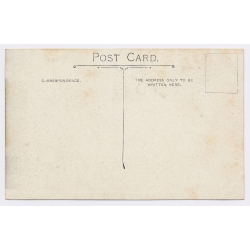 Upington / South Africa: The Pont - Ferry - Natives - Horses (Vintage PC 1919)