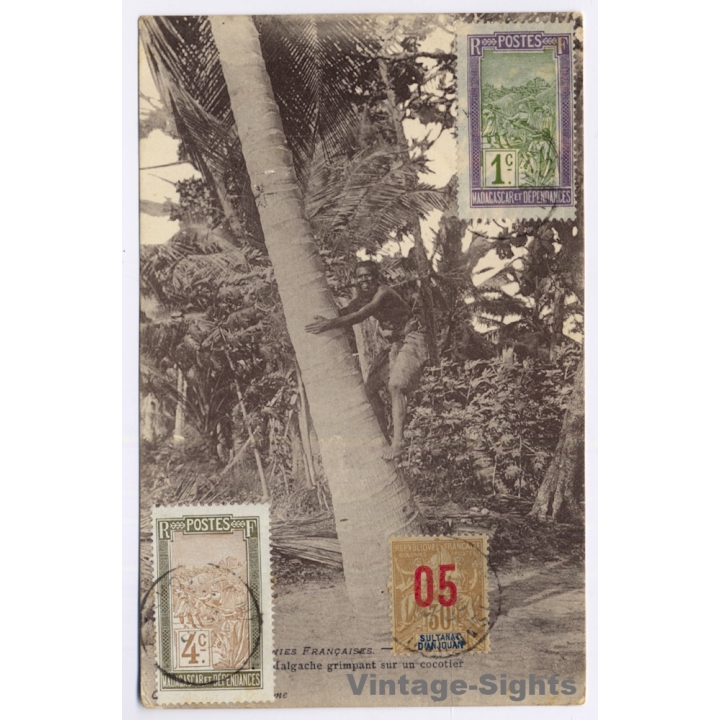 Madagascar: Malgache Grimpant Sur Un Cocotier (Vintage PC 1920)