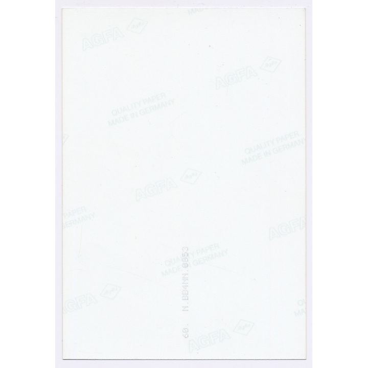 Erotic Study: Sweet Natural Nude In Transparent Lingerie*5 (Vintage Photo East Germany 1990s)