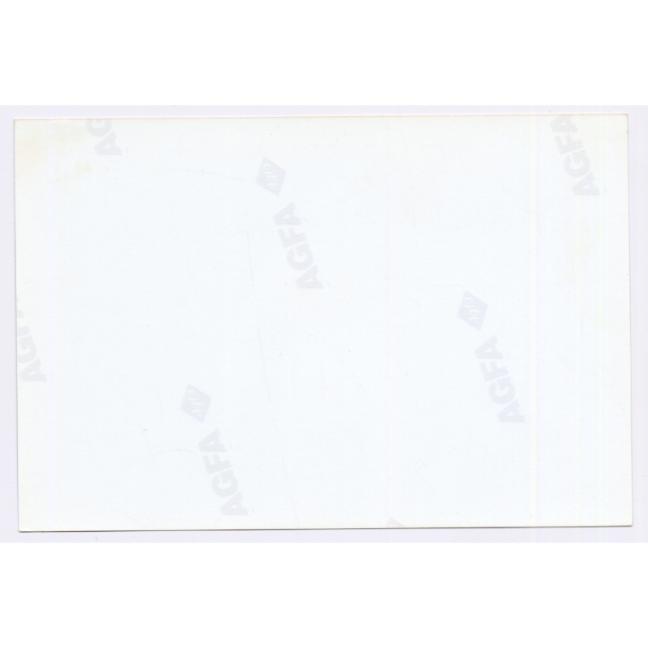 Erotic Study: Rear View Of Curvy Blonde Nude / Butt (Vintage Photo Germany 1990s)