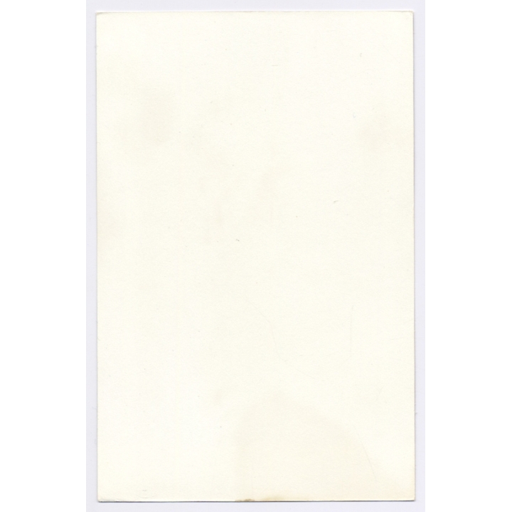 Erotic Study: Slim Natural Nude Sitting In The Grass / Nudism (Vintage Photo GDR 1980s)