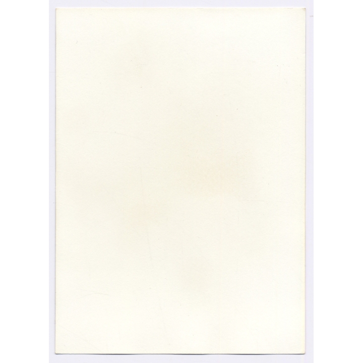 Erotic Study: Busty Nude Curlyhead On Meadow / Nudism (Vintage Photo GDR 1980s)