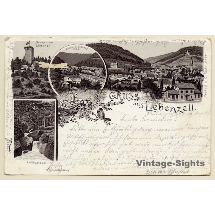 Liebenzell: Burgruine - Oberes u. unteres Bad - Kohlbachtal (Vintage PC Litho 1898)