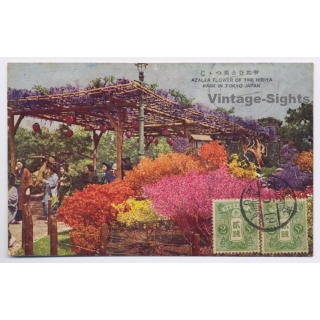 Tokyo / Japan: Azalea FLower Of The Hibiya Park (Vintage PC 1919)