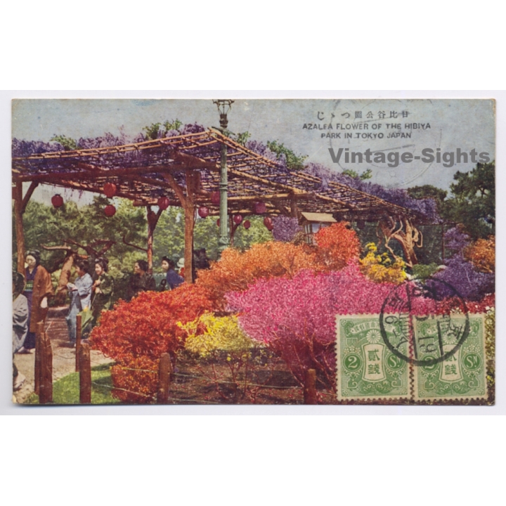 Tokyo / Japan: Azalea FLower Of The Hibiya Park (Vintage PC 1919)