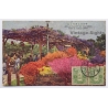 Tokyo / Japan: Azalea FLower Of The Hibiya Park (Vintage PC 1919)