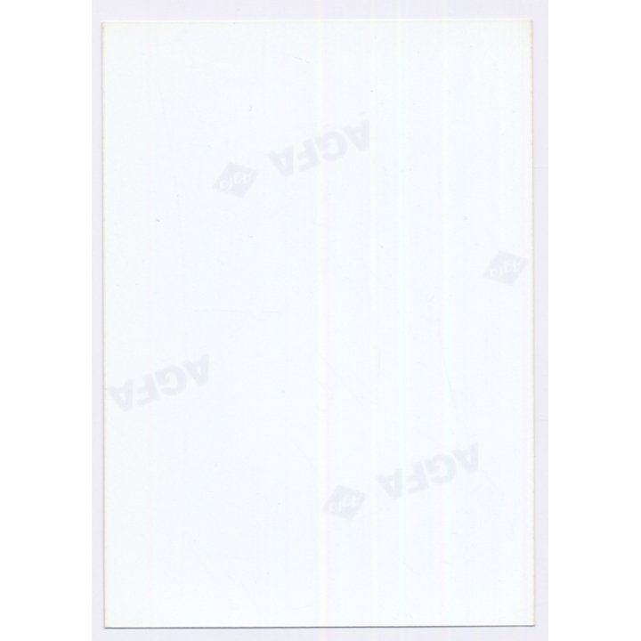 Erotic Study: Upper Body Of Sporty Blonde In Transparent Bra (Vintage Photo East Germany 1990s)