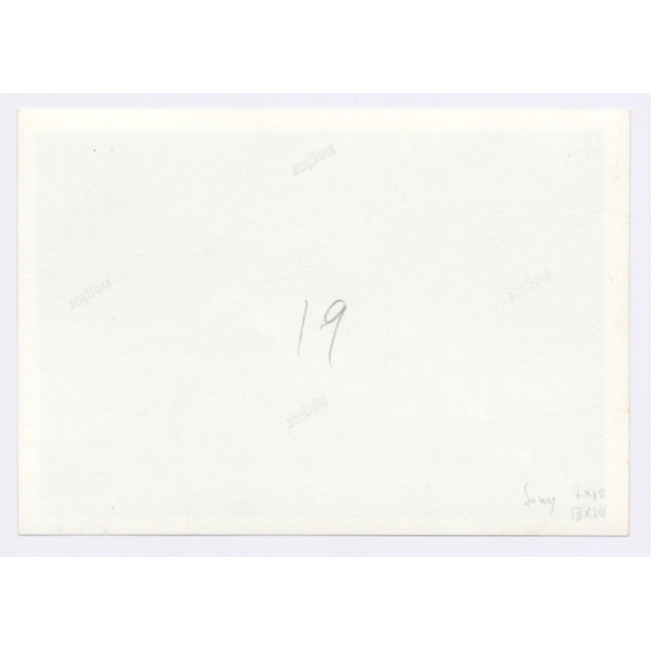 Handsome Young Man In Swimming Trunks*3 / Gay INT (Vintage Photo 1960s)