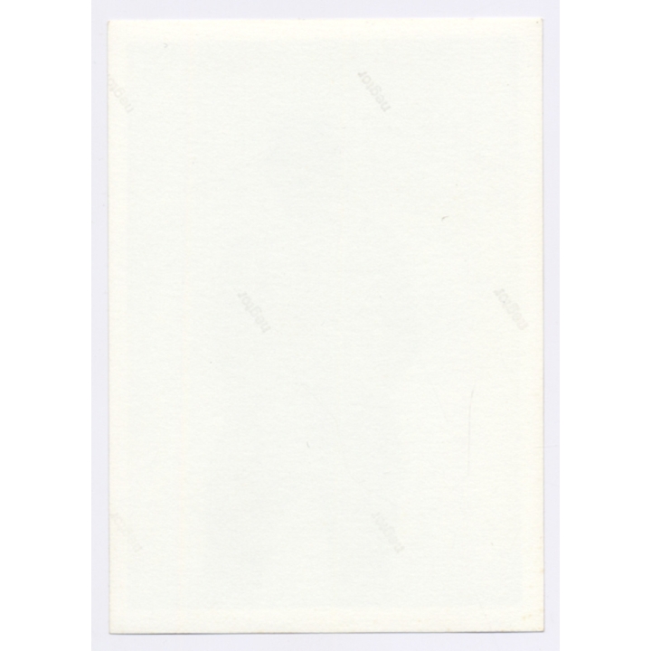 Handsome Young Man In Swimming Trunks*5 / Gay INT (Vintage Photo 1960s)