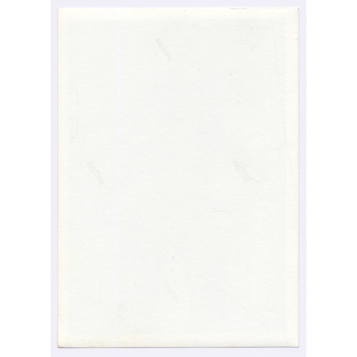 Handsome Young Man In Swimming Trunks*6 / Gay INT (Vintage Photo 1960s)