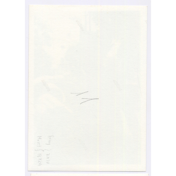 2 Handsome Young Men In Trunks Sitting On Meadow / Gay INT (Vintage Photo 1960s)